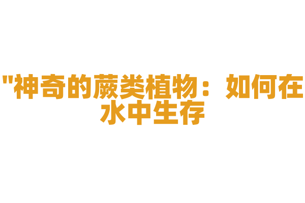 "神奇的蕨类植物：如何在水中生存？"